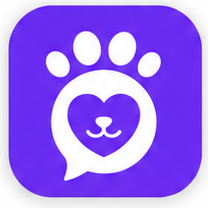 Petto